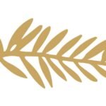 Palma d’Oro 2024: Paolo Sorrentino è in concorso. Tutti i film candidati a Cannes 2024