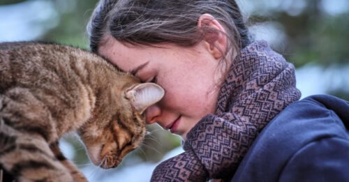 vita da gatto film un bel gattino tigrato fa le fusa a una bambina con sciarpa